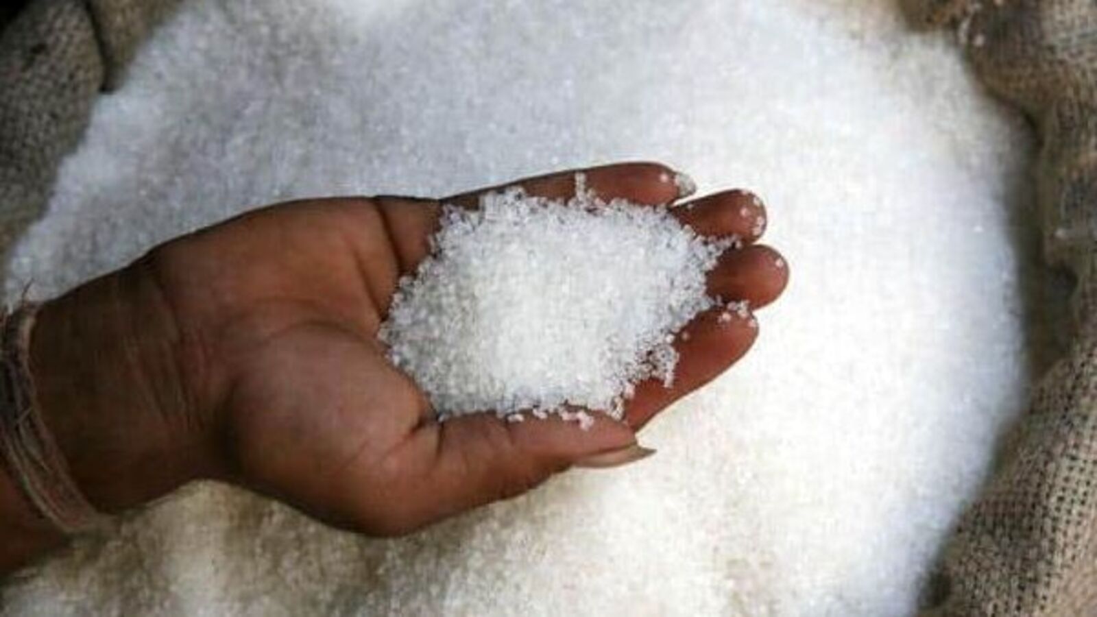 Sakthi Sugars share price slumps 10%, here’s why Globalindianews24